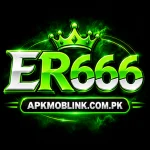 Er666 Game