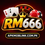 Rm666 Game